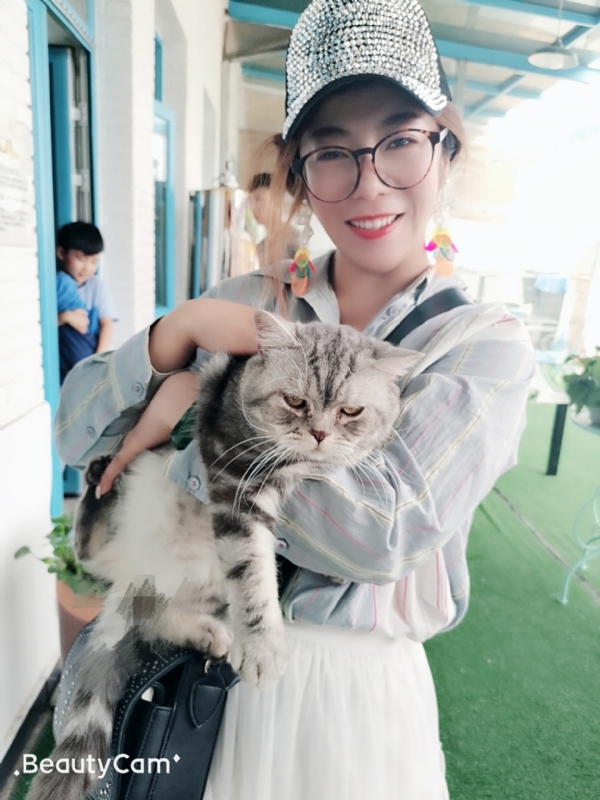 小黑猫的第一张照片--金门交友网