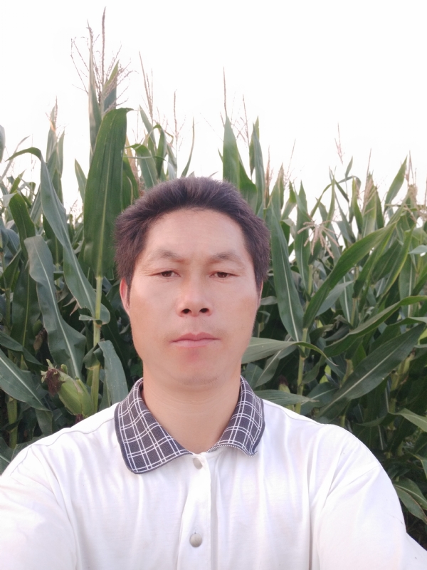 四海游龙的第一张照片--金门交友网