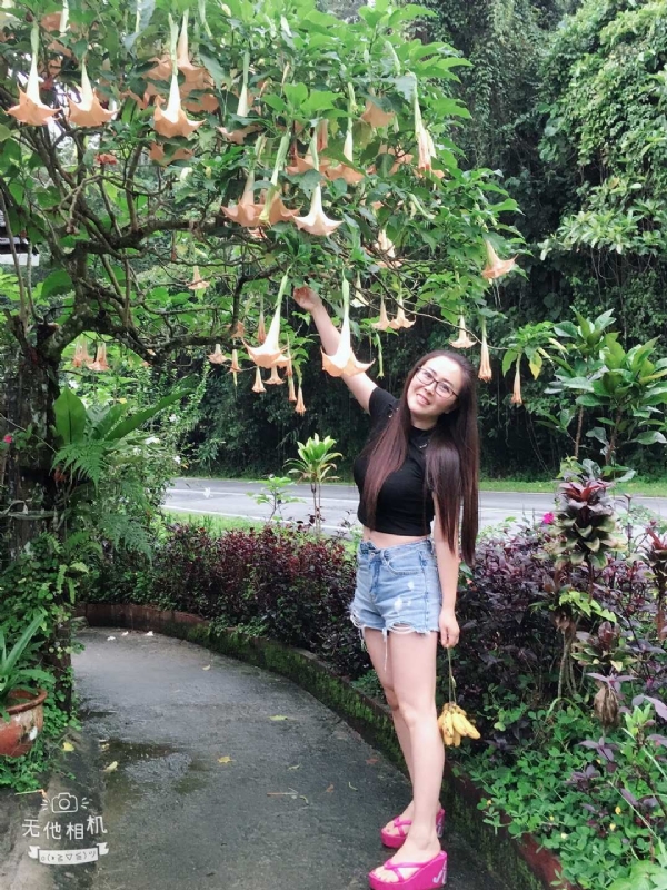 离异单身无子的第二张照片--金门交友网