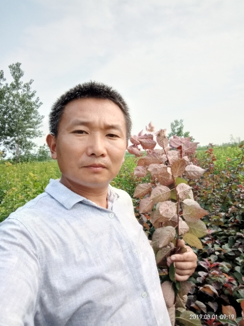 孩子爸的第二张照片--金门交友网